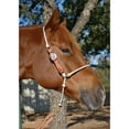 thumbnail image 2 of Martin Saddlery Adjustable Headsetter With Rope Nose, 2 of 2