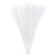 thumbnail image 1 of 4 Paquetes de Hierba Pampas Falsa de 17 Pulgadas 6 Tallos Hierba Artificial para Decoración, Blanca, 1 of 6