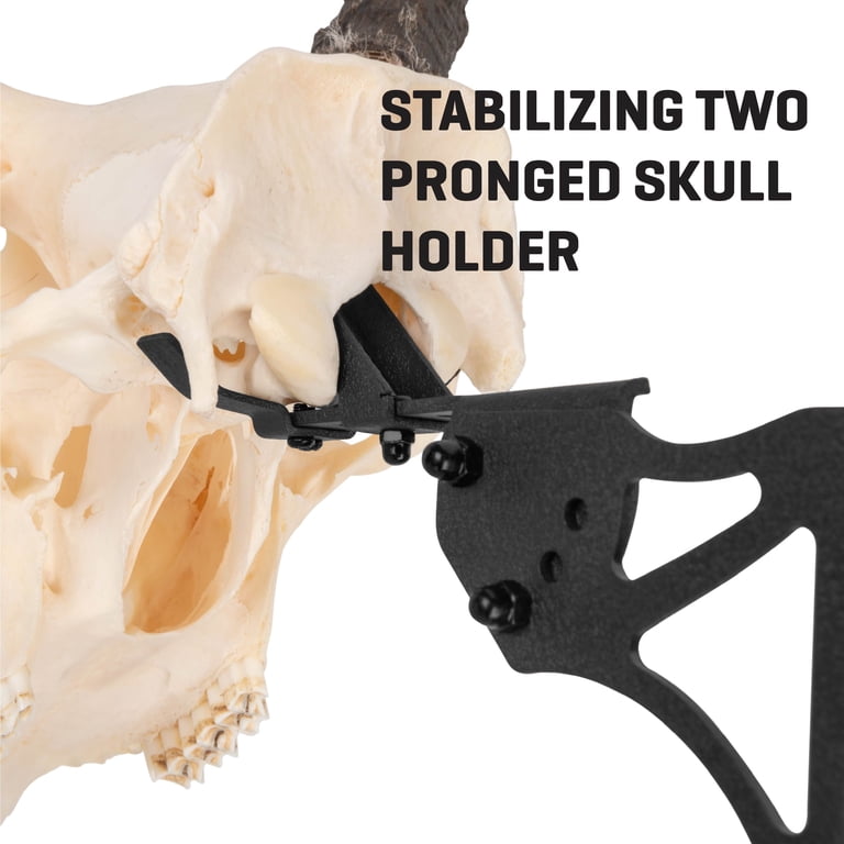 Allen Company Ez Mount Trophy Skull Hanger, Black, 6