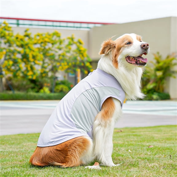 Dog Cooling Outerwear, Cooling Dog Vest, Mesh Pet Clothing, Dog Summer Shirt, D Ring Dog Vest, Lightweight Ice Silk Turquoise Sun Protective Top, Soft Stretchy Athletic Design for
