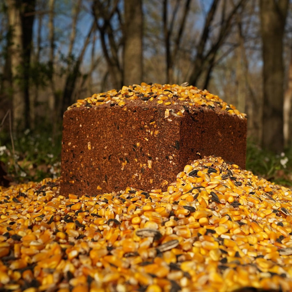 Big Tine Fortified Deer Block Pear Rush 20 lbs