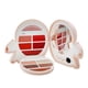 thumbnail image 1 of Kit de maquillaje Pupa Squirrel 2 #001 con iluminador facial, Eyeshad, 1 of 6