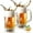 600glass-2pcs, variant on Extra Large Clear Tall Beer Glasses With Handle