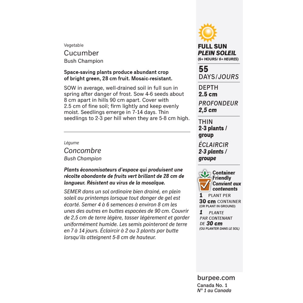 Burpee Bush Champion Concombre, Trancher