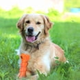 thumbnail image 2 of LaRoo Dog Feeder Puzzle Toy Bone, Pets Dog Chew Toy Snack Dispenser, Bite Resistant Interactive Dog Toy Treat Dispensing Yummy Bone for Small Medium Large Dog (16cm Bone Orange), 2 of 5