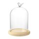 thumbnail image 1 of Clear Glass Display Cloche Dome With Bird Handle Wooden Base, Immortal Flower Cover Large Size Office Home Room Decoration 26-27s, 1 of 5