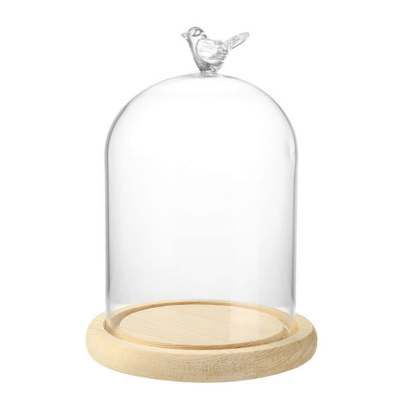 Clear Glass Display Cloche Dome With Bird Handle Wooden Base, Immortal Flower Cover Large Size Office Home Room Decoration 26-27s
