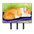 thumbnail image 1 of Carolines Treasures SS8920TH68 Porte- Laisse Corgi Ou Crochet à Clé, 1 of 1