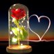 thumbnail image 1 of Rosa De Cristal,el Mejor Regalo Para Mamá,Rosa Roja Con Luz Rosa Encantada En Cúpula De Vidrio (hy), 1 of 5