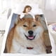 thumbnail image 5 of Shiba Inu anti-pilling, suave, ligera, esponjosa y acogedora de lujo para hogar y cocina – Perfecta para niños y adultos,150X200cm, 5 of 6
