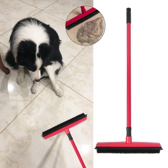 Push Broom Walmart Canada