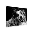 thumbnail image 2 of Trademark Fine Art 'Canine Scratchboard XXVI' Canvas Art by Julie T. Chapman, 2 of 4