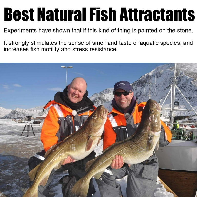 Fishing Attractants - Fishing Scents