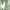Green, variant on Blackout Double-layer Curtains Starry Floor Curtain Curtains Kids Girls Bedroom Decor 39.37"x 78.74" w/3 color