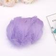 thumbnail image 1 of Kiplyki Wholesale 100pc Colorful Feathers 6-12 Cm In Small Feather DIY Decoration, 1 of 2
