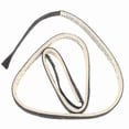 thumbnail image 2 of Elliptical Strider with Resistance Band and Dual Function Spin Bike Drag Plate, 2 of 5