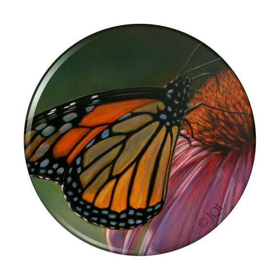 Monarch Butterfly and Coneflower Pinback Button Pin