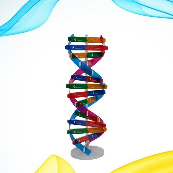 HEALEEP Molecular Structure Model Kit DIY DNA Double Helix Model Multi PP 1Pcs for Office Use
