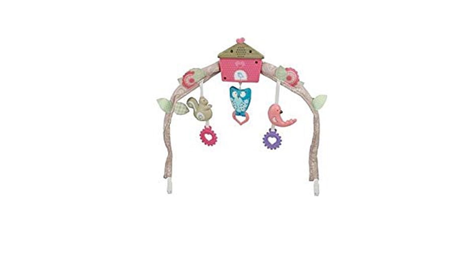 fisher price cosy cocoon bouncer