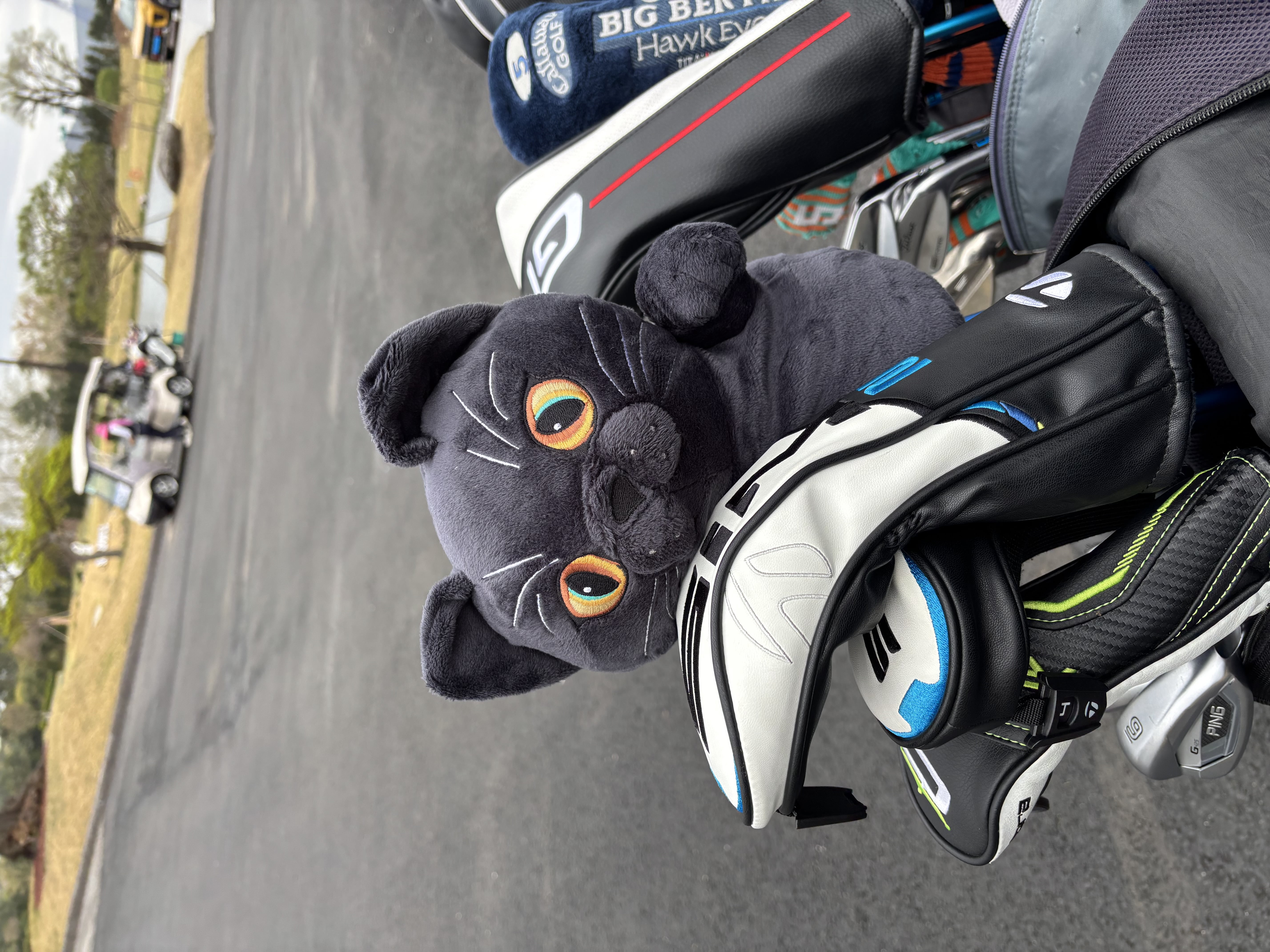 dinofactory Cat Golf Driver Headcover, Plush Kitten, Dark Gray