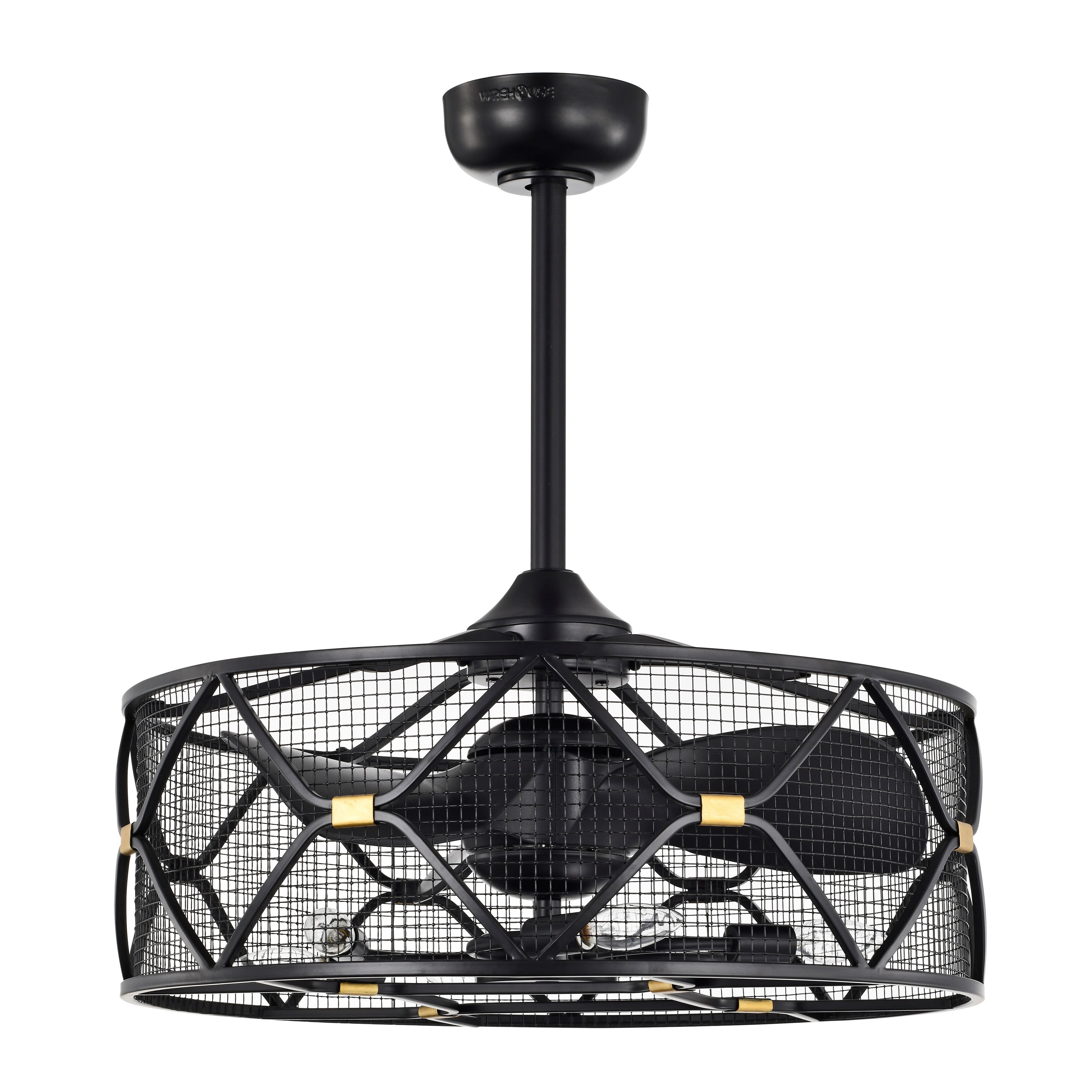 Nelle 24.3 in. Indoor Black Finish Ceiling Fan with Light Kit and Remote