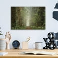 thumbnail image 3 of Epic Art 'Misty Spring Road' by Martin Podt, Acrylic Glass Wall Art, 16"x12", 3 of 3