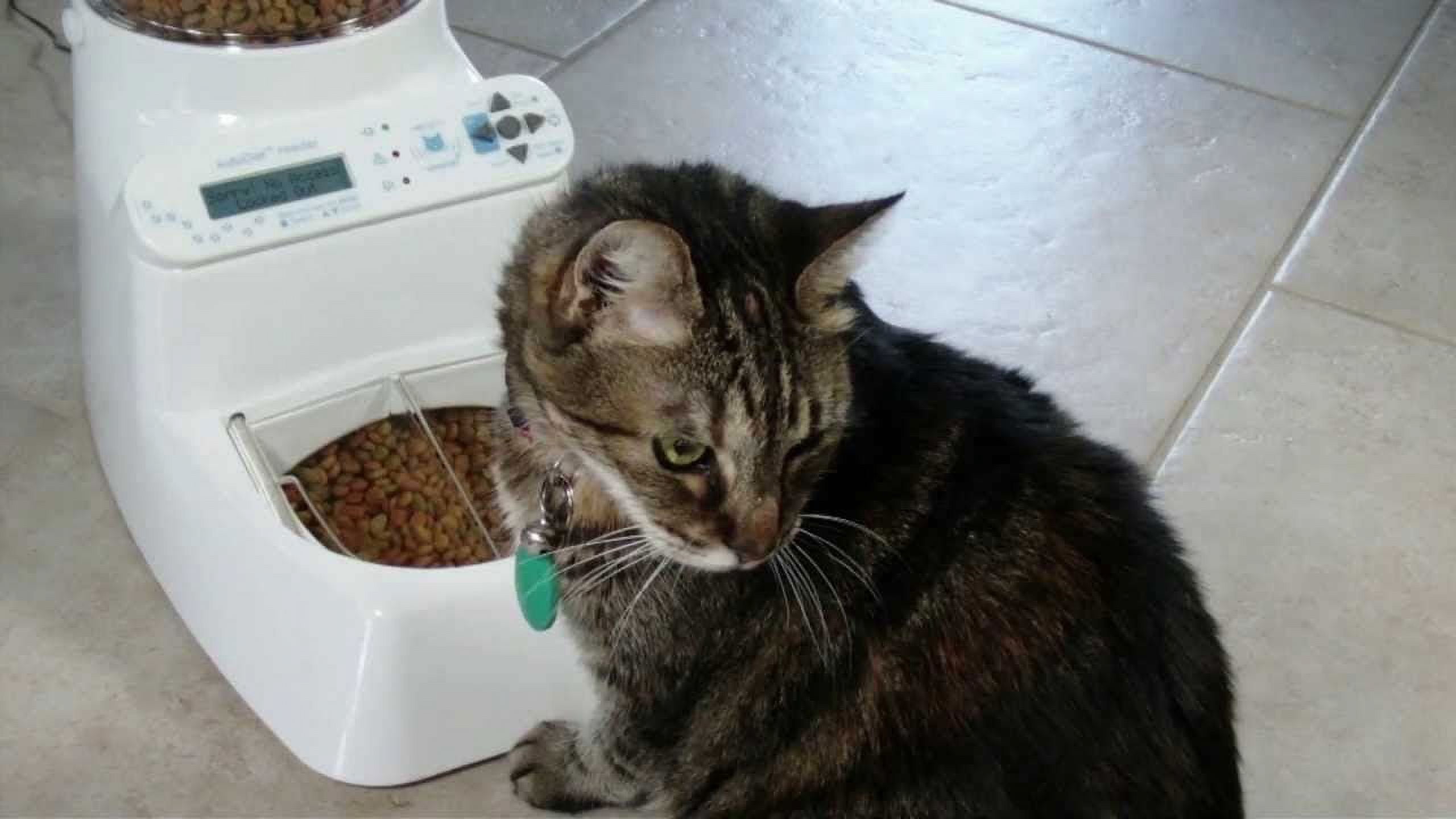 Wireless Whiskers Automatic Pet Feeder - AutoDiet Pet Feeder - Put Your Pet on a Diet