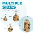 thumbnail image 6 of Outward Hound Hide A Squirrel Plush Dog Toy Puzzle, XL, 6 of 8