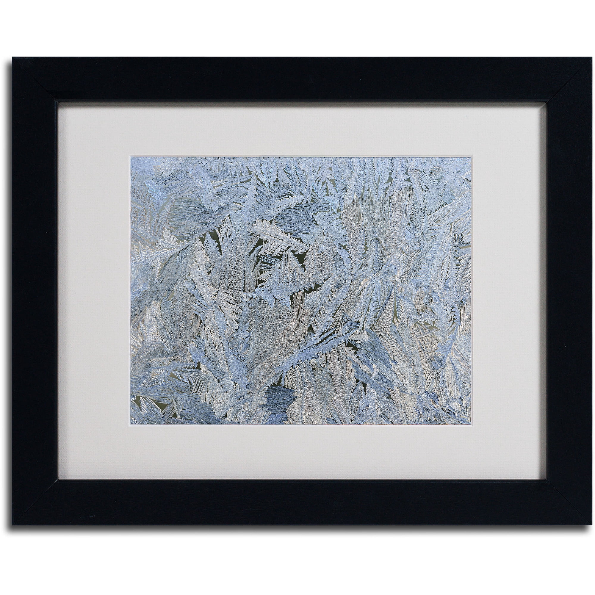Trademark Fine Art "Frost Pattern #6" by Kurt Shaffer, Black Frame