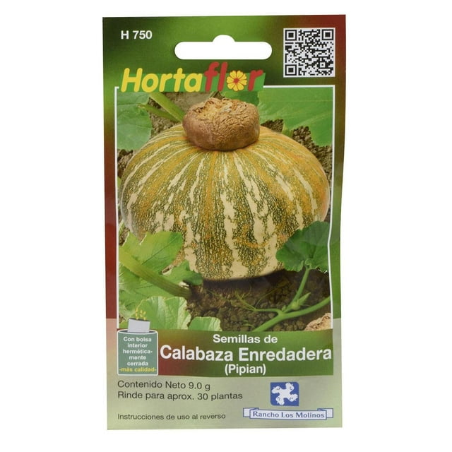 Semillas Calabaza Enredadera Hortaflor Naranja 9 Gr