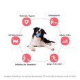 thumbnail image 2 of Gigwi Ball Pelota Para Perros Masticable Super Resistente MATCHI Naranja, 2 of 4