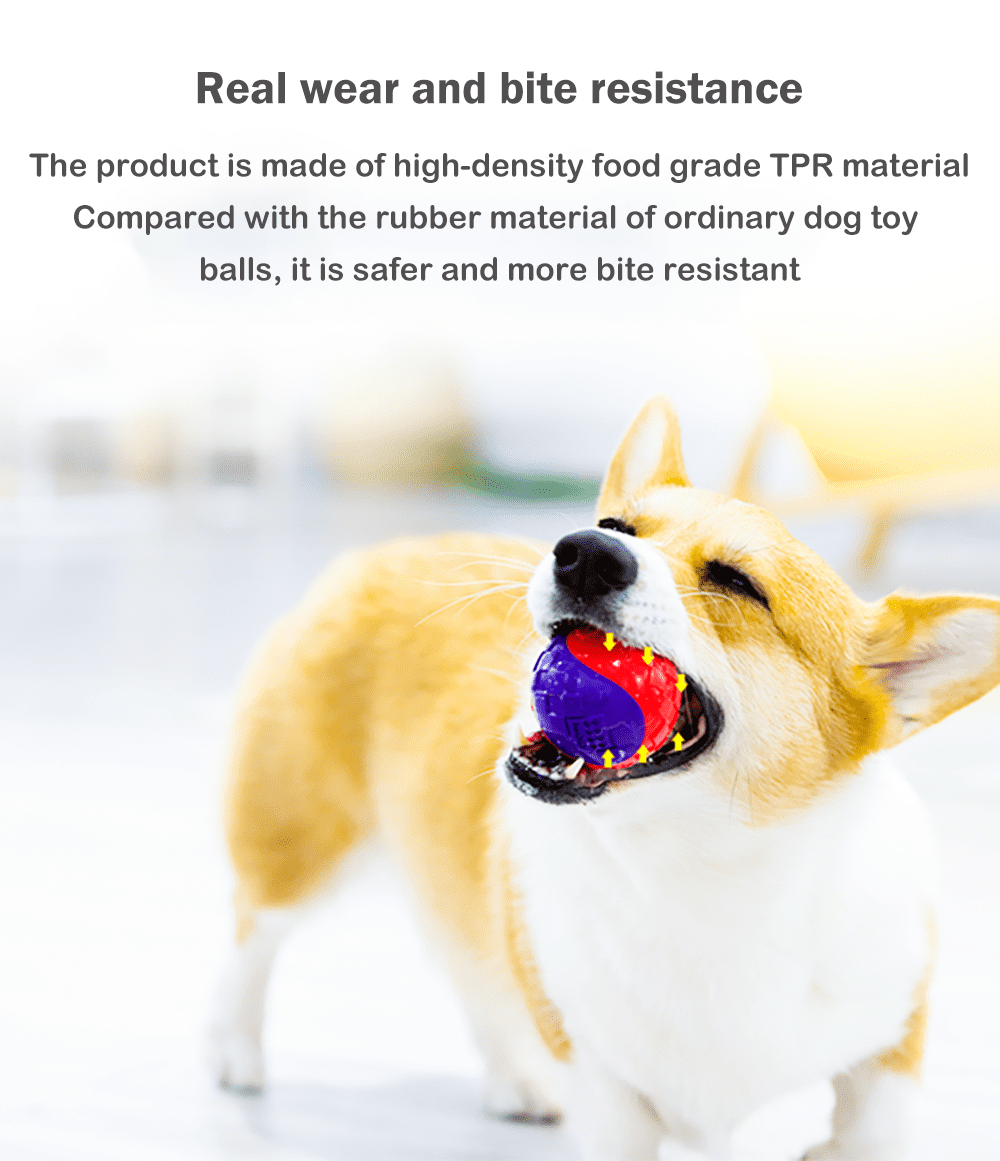 GIGWI Pet Toys G-Ball Toys S / M / L Series Transparent Interactive Dog Ball Toy for Dogs Bite Resistance Elasticity Dog Toy