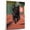 Affenpinscher, variant on Maltese Dog Playing Running Stretched Canvas Size 8x12 – Sports Dog, Perfect for Animal Lovers, Maltese Dog Canvas, Running Canvas Size Wall Art