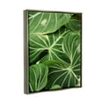 thumbnail image 4 of Stupell Industries Lush Green Leaves Vegetation Tropical Plant Photography Photograph Luster Gray Floating Framed Canvas Print Wall Art, Design by Gail Peck, 4 of 5