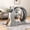 Inner diameter 95cm Grey oak, variant on Large Wooden Cat Exercise Wheel for Indoor Cats – Quiet Treadmill, Sisal Scratching Pad, Play Balls, Anti-Slip Wheel, Safe Narrow Gap – Natural Wood, 85cm Inner Diameter
