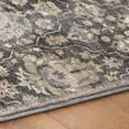thumbnail image 5 of Addison Rugs Dream Shag Premium Machine Washable Traditional Ornate Shadow Rectangle Rug, 3' x 5', 5 of 8