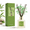 Bamboo Stream - Flower-6.7 Ounce/1pack, variant on Cashmere Vanilla - Flower 3.38 fl oz Reed Diffuser for Home Bedroom Bathroom Decor