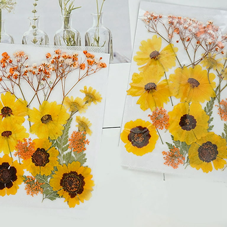 Dried Pressed Flowers Art, Pressed Sunflowers for Crafts, Dry