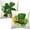 Patrick-1, variant on St Patrick''s Day Decor Pillow Covers 16x16 Green Leaf Clover Hat Decorative Throw Pillow Covers Simple Holiday Pillow Covers St Patricks Home Decor for Couch Bed in 2 Pcs