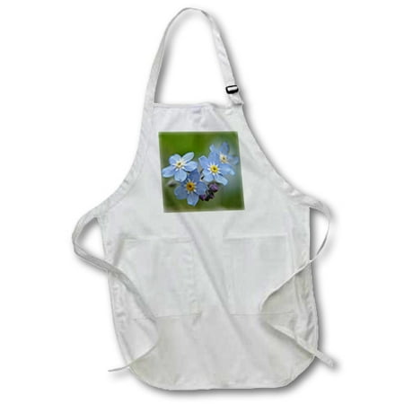 

3dRose Flower Forget Me Not - Full Length Apron 22 by 30-inch Black with Pockets