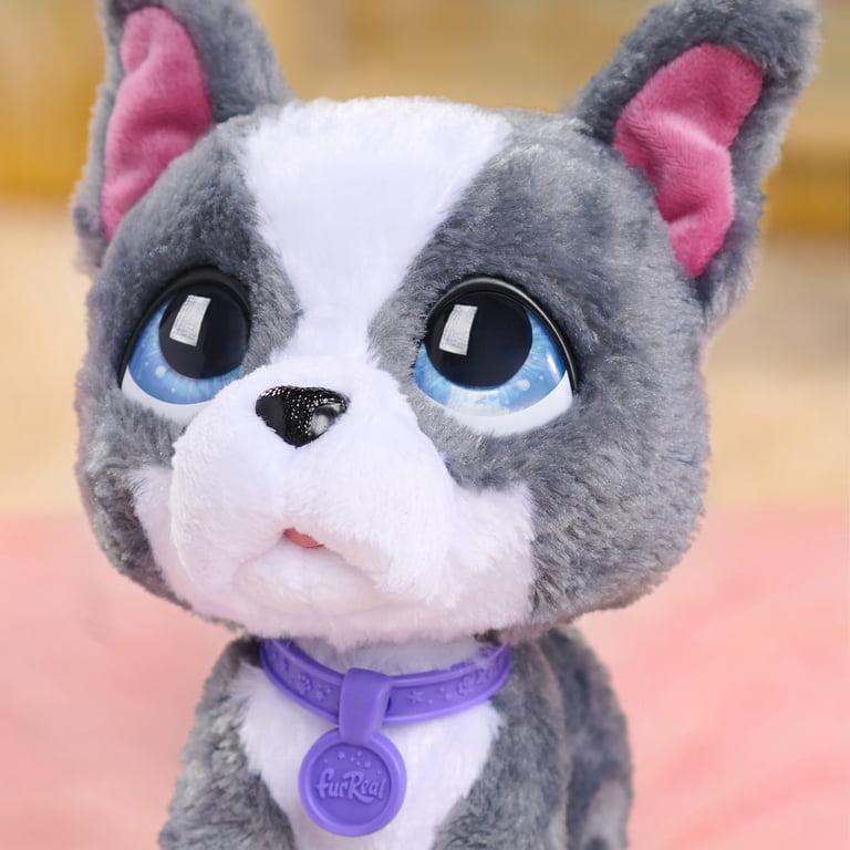 furReal Walk-a-Lots French Bulldog, Interactive Toy Dog, Ages 4+