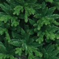 thumbnail image 3 of ALEKO Ultra Lush Traditional Lifelike Artificial Indoor Christmas Holiday Tree - 6 Foot, 3 of 4