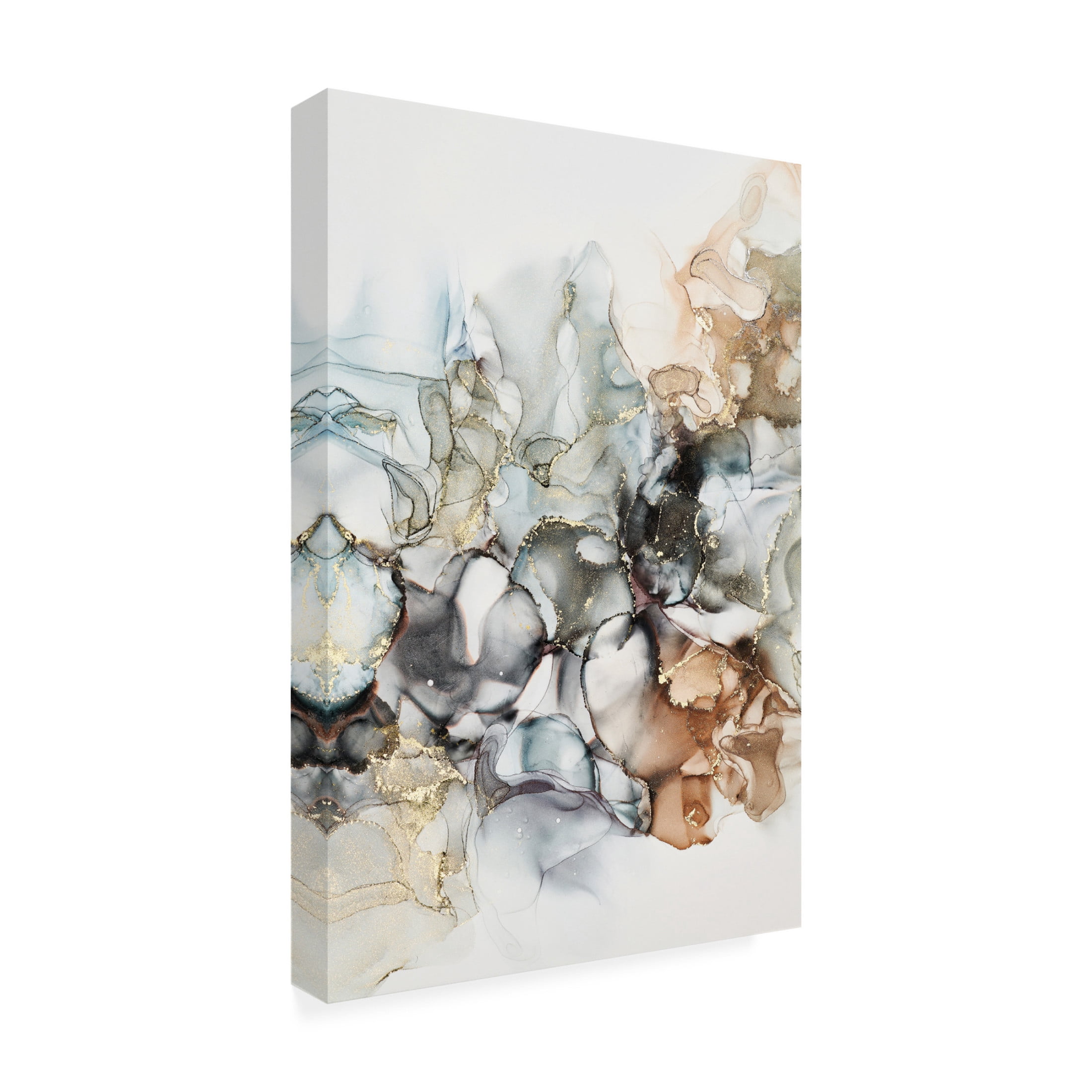 Canvas Wall Art - Incado 'Cosmos I' Wall Art for Living Room, Bedroom, or Office Décor by Trademark Fine Art - 16 x 24 Inches