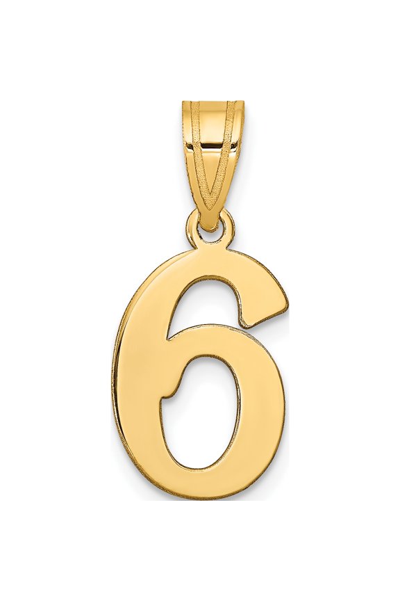 14K Yellow Gold Polished Number 6 Pendant (Width 10.75) (Length 17.6) - Jbsp