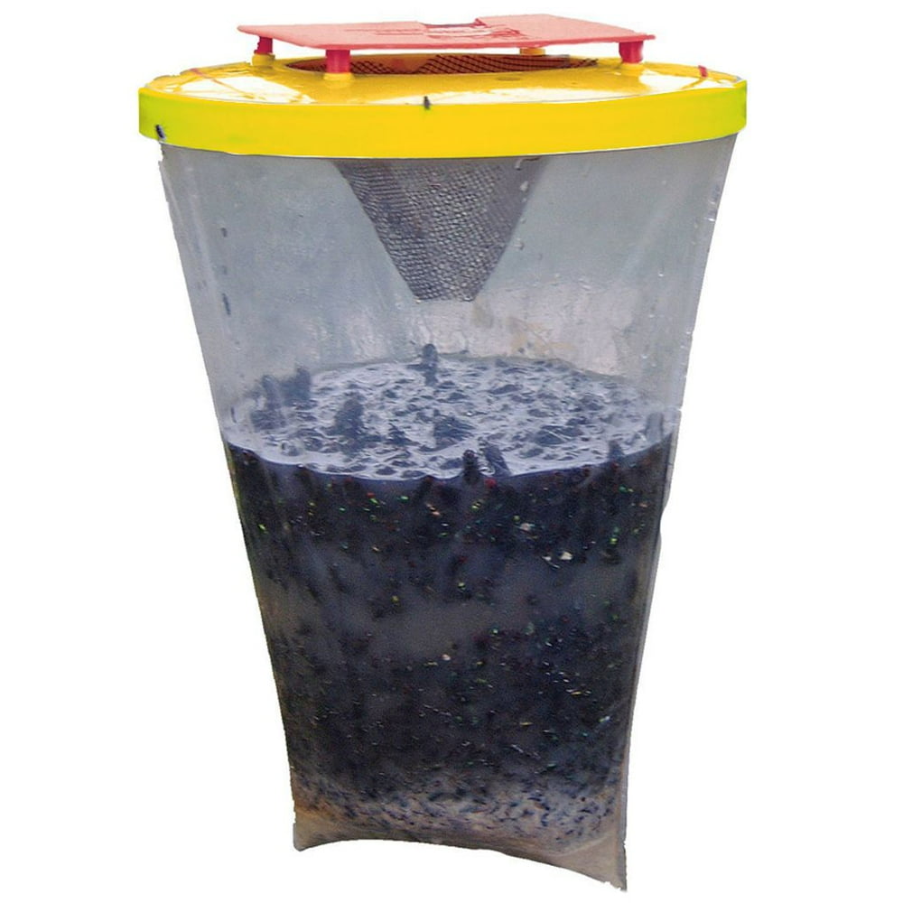 Flies Be Gone Non Toxic Fly Trap Flies Away For Home