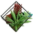 thumbnail image 3 of Northlight 7" Succulent Artificial Arrangement in Black Wire Terrarium - Green/Black, 3 of 7