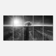 thumbnail image 2 of Beautiful Black White Lavender Field - Extra Large Landscape Canvas Art, 2 of 3