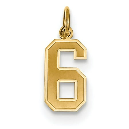 14k Yellow Gold Small Satin Number 6 Charm Pendant