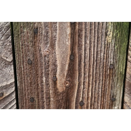 Canvas Print Deleted Wood Wall Boards Nailed Boards Wood Fence Stretched Canvas 10 x (Best Nails For Wood Fence)