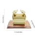 thumbnail image 1 of Carro Organizador Resistente para Mangueras de Jardín | Almacena y Protege La Manguera | Uso Exterior | Adecuado para Plantas de Jardín, Equipos de Jardinería y Herramientas de Riego, 1 of 2